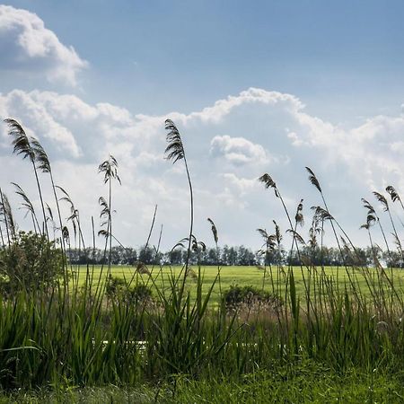 Töreki 34 Vendégház Siófok Esterno foto