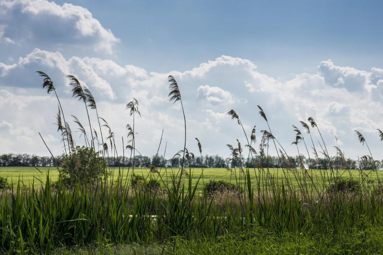 Töreki 34 Vendégház Siófok Esterno foto