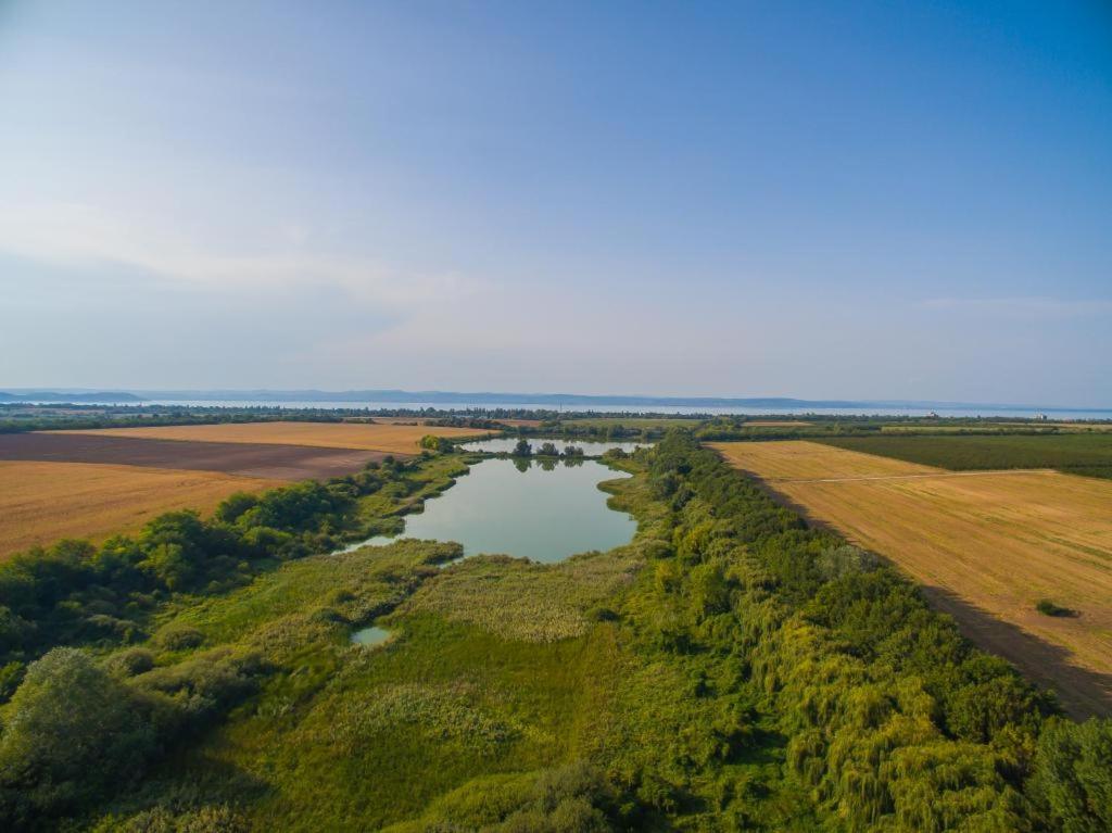 Töreki 34 Vendégház Siófok Esterno foto