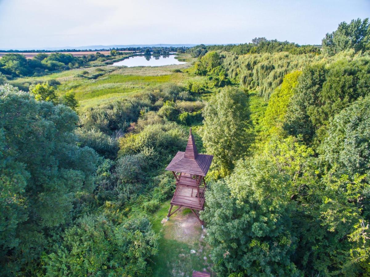Töreki 34 Vendégház Siófok Esterno foto