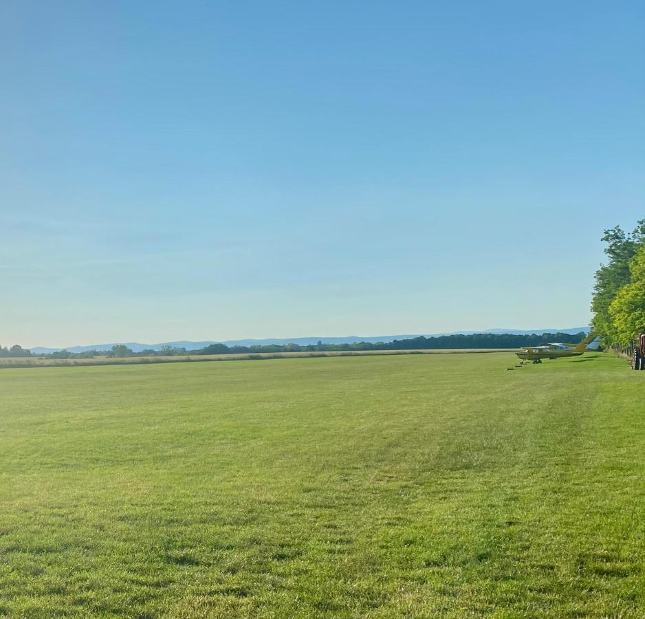 Töreki 34 Vendégház Siófok Esterno foto