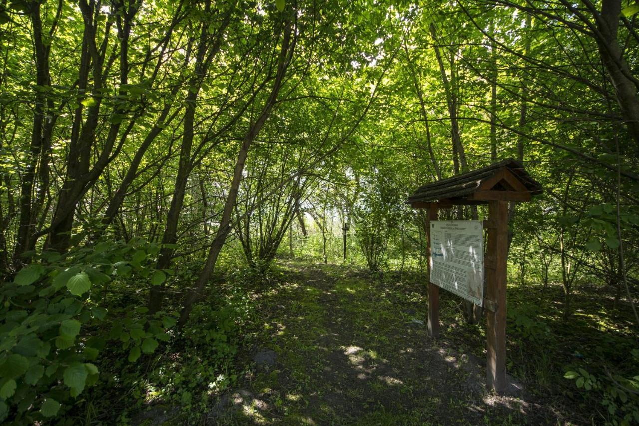 Töreki 34 Vendégház Siófok Esterno foto