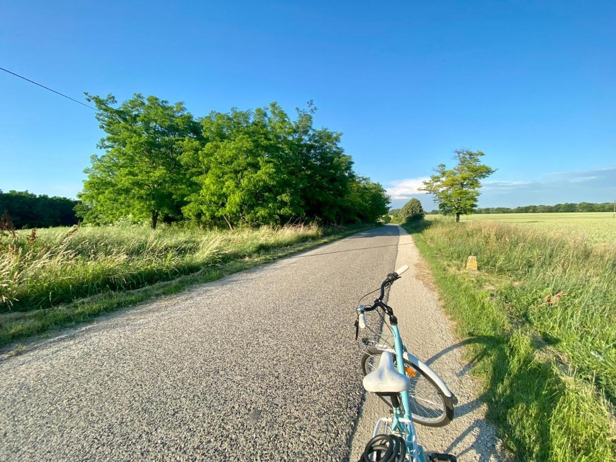 Töreki 34 Vendégház Siófok Esterno foto