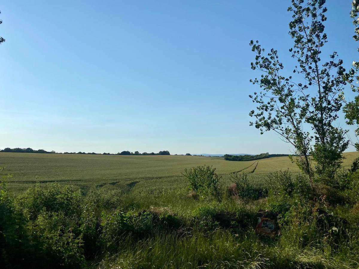 Töreki 34 Vendégház Siófok Esterno foto
